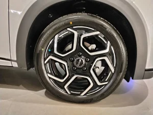 2026 BYD Dolphin in Kenya