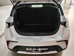 2026 BYD Dolphin in Kenya