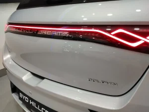 2026 BYD Dolphin in Kenya