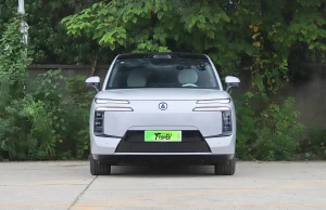 2026 Denza N8L in Kenya