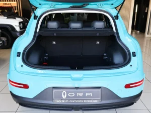 2026 GWM Ora 03 in Kenya