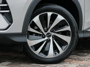 2026 BYD Sealion 6 in Kenya