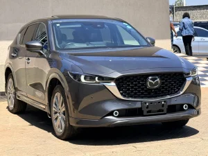 Car Hire in Nairobi Kenya
