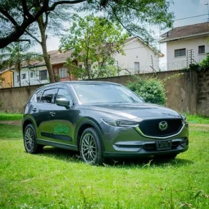 Which Should You Hire in Kenya? CX-5 vs RAV4