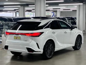 2024 Lexus RX in Kenya