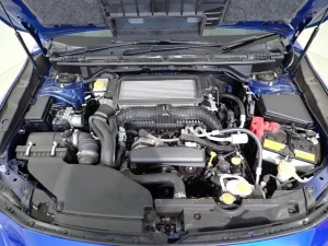 Subaru Levorg in Kenya 