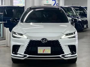 2024 Lexus RX in Kenya