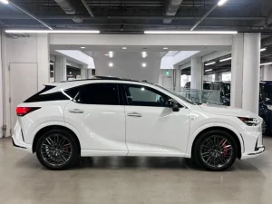 2024 Lexus RX in Kenya